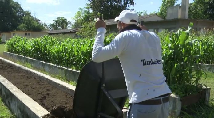 Novedades: En Cuba se desarrolla un Festival de Emprendimientos Sostenibles