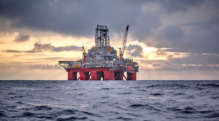 Greenpeace: “La nueva resolución del Ministerio de Ambiente es inconstitucional y debe ser anulada”