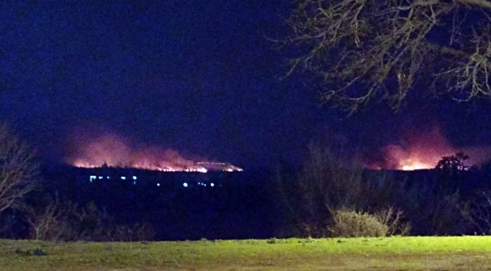 Crónica de un día agitado: incendios en la Isla, ardua tarea de Bomberos y la GNA que cortó el tránsito por horas y lo tuvo que asistir