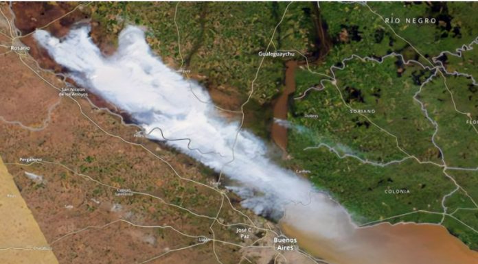 Zona Zárate: Una imagen de un satélite de la NASA muestra la magnitud de la nube de cenizas por los incendios