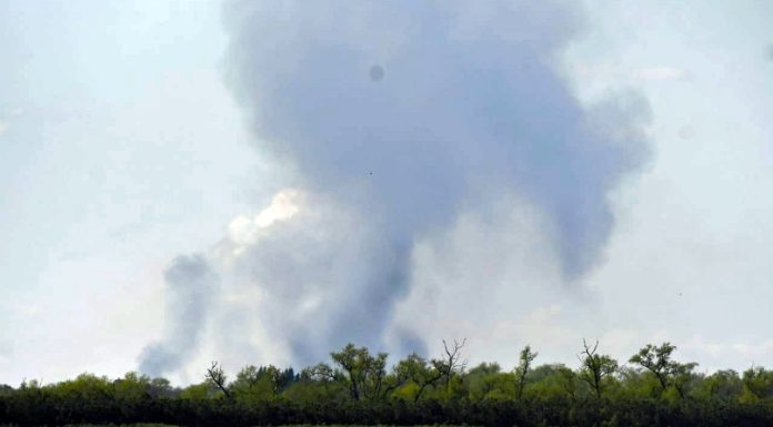 Greenpeace: “Hay responsables de la destrucción de humedales que están expuestos pero siguen impunes”