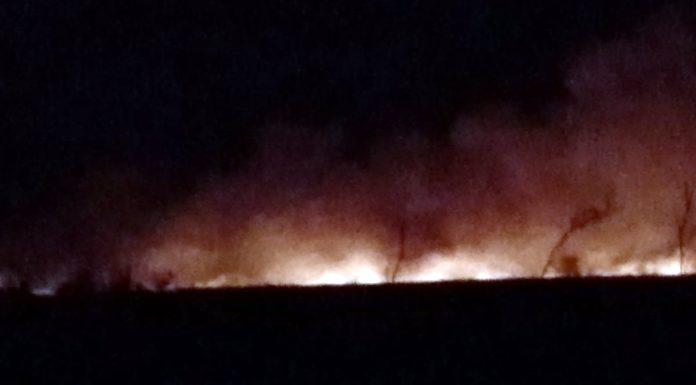 FUEGO EN EL DELTA: Son intencionales y traerán malestar con humo y cenizas hasta el domingo inclusive