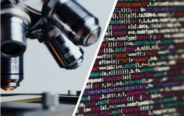 Pasantías Internas Rentadas: oferta para estudiantes de Ciencias Biológicas y Sistemas de Información