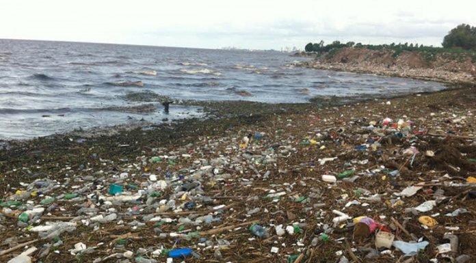 Advierten gran cantidad de microplásticos en distintas áreas del Mar Argentino