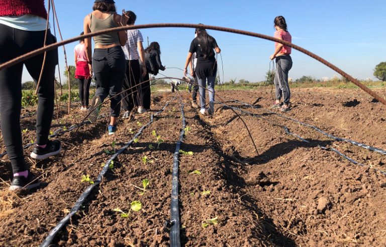Garantizan la producción agroecológica de hortalizas en el AMBA