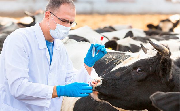 INTA AMBA – 6 de agosto: Hoy es el Día de la Enseñanza Agropecuaria, del Ingeniero Agrónomo y del Médico Veterinario