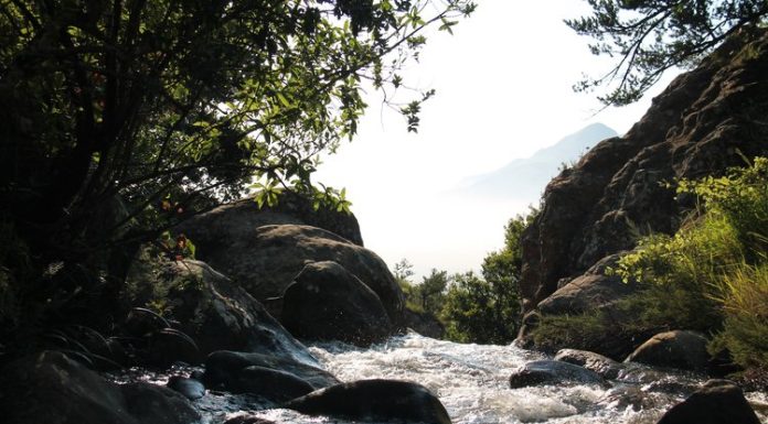 Efemerides Especiales: Hoy es el Día Mundial de la Quiropraxia y también del Control de la Calidad del Agua