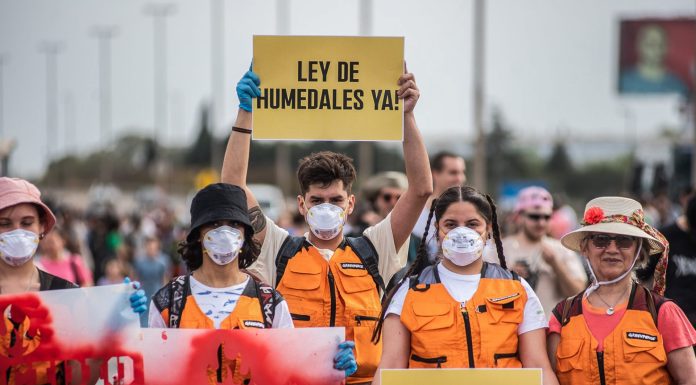 Greenpeace: Los humedales tienen la mejor oportunidad en años de ser protegidos, también los de Zárate