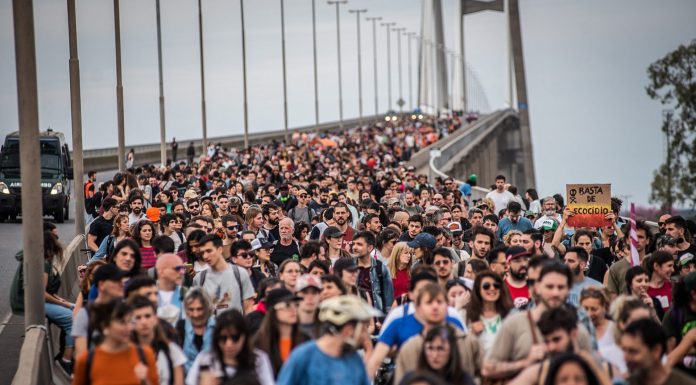 Desesperante reclamo: Más de 500 organizaciones de todo el país se movilizan por la Ley de Humedales