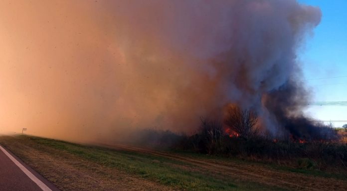TRÁNSITO: El humo vuelve a complicar el paso por los puentes Zárate – Brazo Largo y el tránsito por la isla