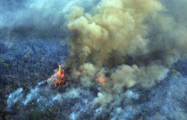 Un récord en 12 años: la Amazonia brasileña registró 33.316 focos de incendio en agosto