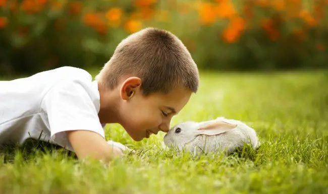 Efemeride Especial: La jornada de hoy se caracteriza por varios temas relacionados con la salud, pero hay una sorpresa muy especial y mimosa