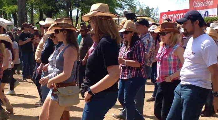 CALENDARIO DE EVENTOS: En la región sobre ruta 9, hay 2 actividades que se destacan el fin de semana, en San Pedro y otro en San Nicolás
