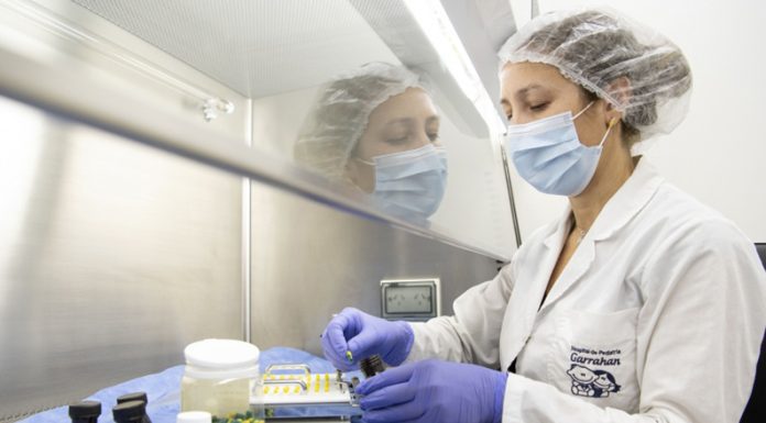 CIENCIA ARGENTINA: El Hospital Garrahan desarrolló y produjo medicamentos magistrales para bebés con VIH
