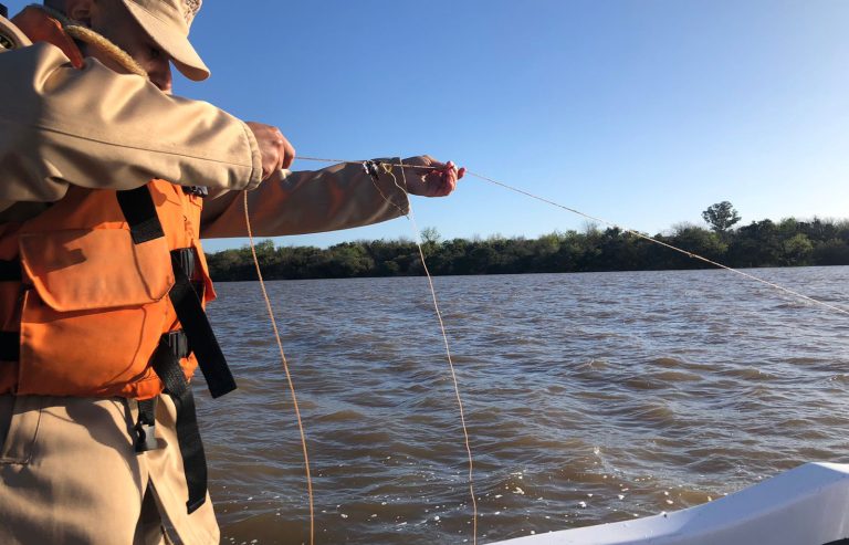 Río Paraná: La Prefectura Naval continúa patrullando los ríos y realizando control de pesca ilegal