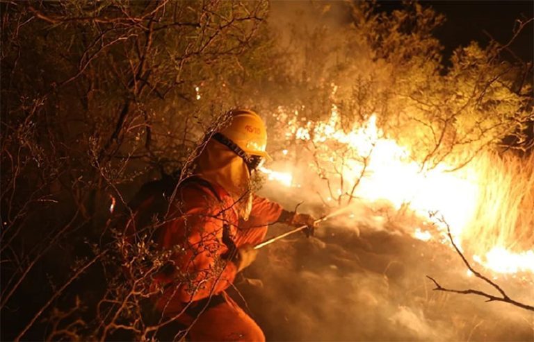 Cambio Climático: “La no toma de acciones conlleva la pérdida de vidas humanas”