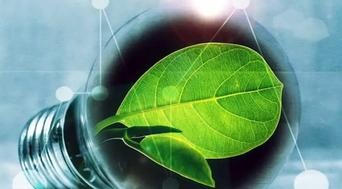 Efemérides Especiales: Hoy nos enfocaremos en el Día Mundial del Ahorro de Energía