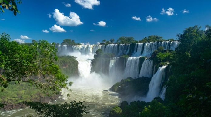 Efemérides Especiales: Hoy nos detendremos a mirar sobre el Día Mundial de la Protección de la Naturaleza