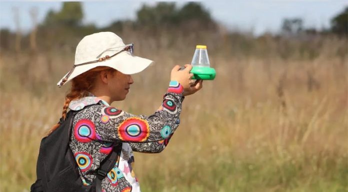 Humedales urbanos: entre el déficit habitacional y la necesidad de conservarlos