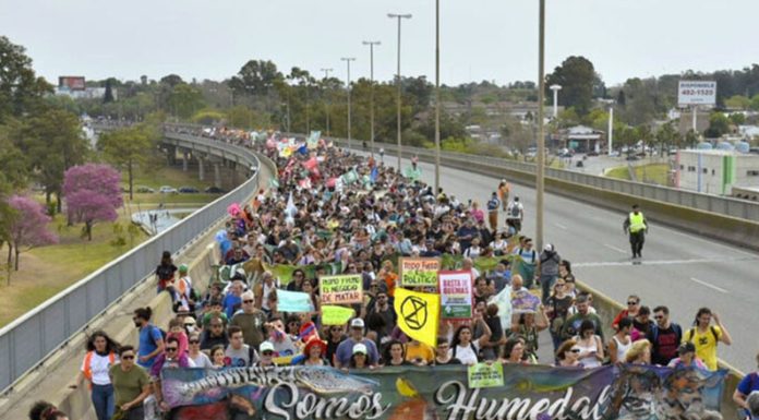 Ley de Humedales: Producir, conservar y consensuar un horizonte sin humo