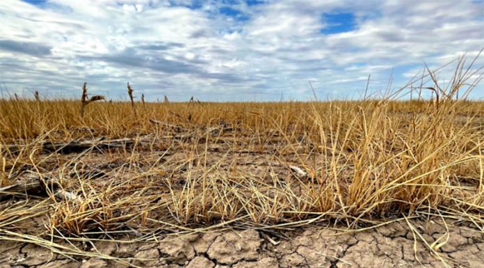 La Niña continúa a paso firme y se agudiza aun más la sequía en la Argentina