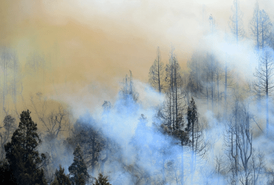 Por qué los incendios en la Patagonia serán cada vez más frecuentes por el cambio climático