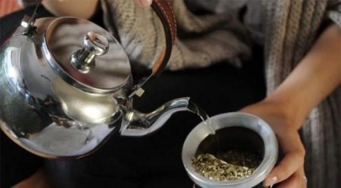 Yerba mate: entre los mitos y las evidencias científicas