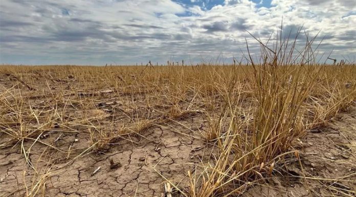 Adiós a La Niña: ¿Qué pronostican los especialistas para los próximos meses?