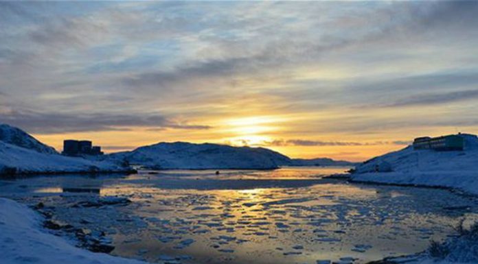 Descubrieron un ADN de dos millones de años en Groenlandia, el más antiguo del mundo