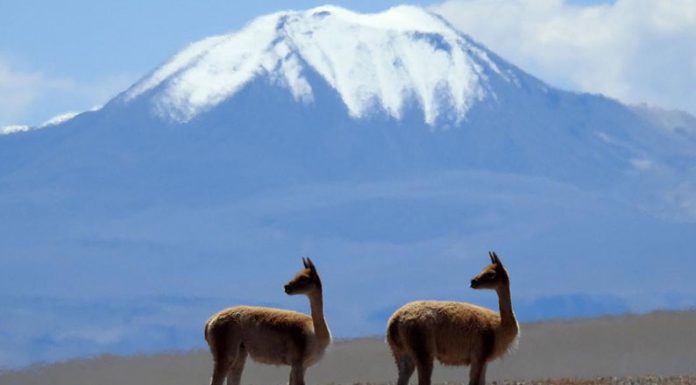 CAMBIO CLIMÁTICO: Las montañas, que albergan el 80% de agua dulce mundial, están en riesgo