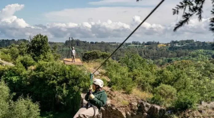 TIENE FECHA: Conocelos, ya están publicados en el boletín oficial los feriados de 2023