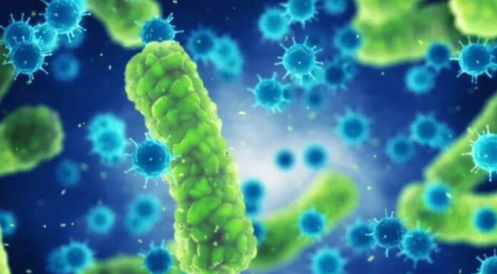 Detectan y contienen brote de una bacteria resistente a todos los antibióticos en la Argentina