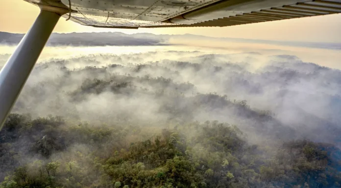 Alarmante aumento de desmontes ilegales e incendios forestales en el norte argentino
