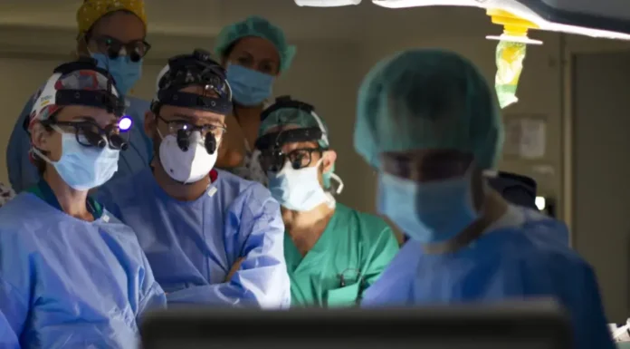 Avances con sello local: los últimos logros de Argentina en trasplantes de órganos