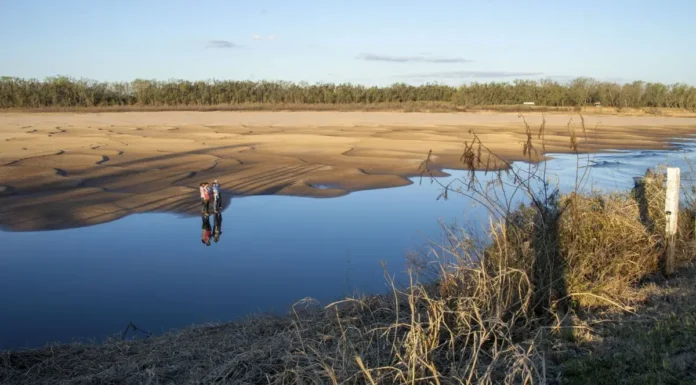 DÍA MUNDIAL: Más del 35% de los humedales del mundo desaparecieron en los últimos 50 años