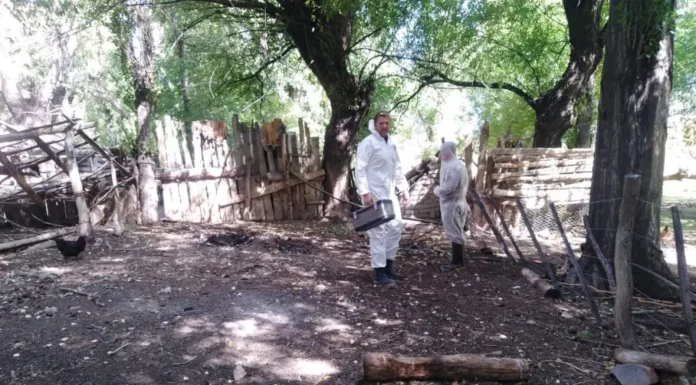 Detectan gripe aviar en Azul y ya son cuatro los municipios bonaerenses con casos
