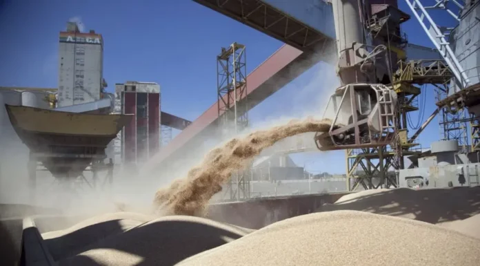 Sin el dólar soja, los agroexportadores liquidaron en enero un 75% menos