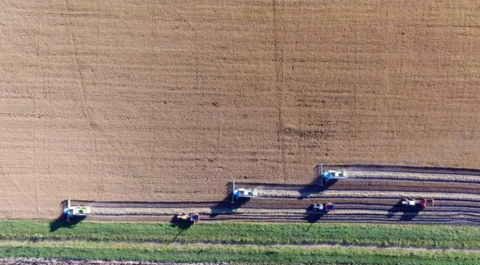 Estiman que podrían perderse US$ 14.000 millones en exportaciones por la sequía