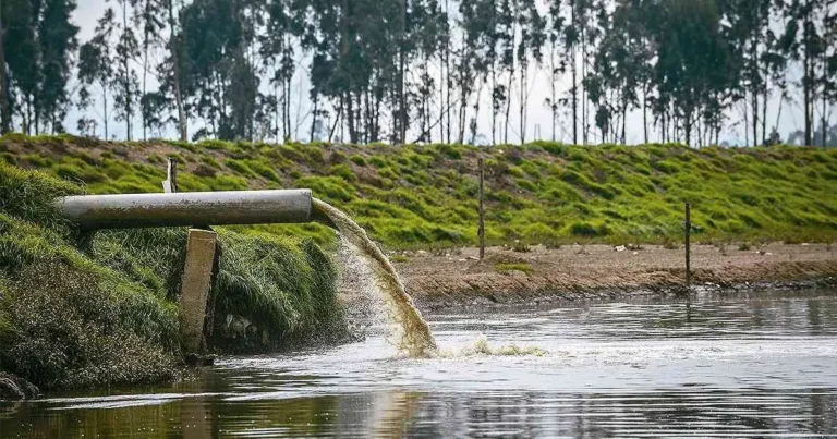 Informe Especial: ¿Cuáles son los problemas más comunes del agua y cuáles sus soluciones?