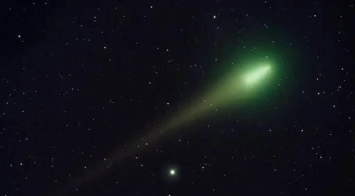 Fenómeno: Ya se puede observar el “cometa verde”, sepa cómo ubicarlo en el cielo