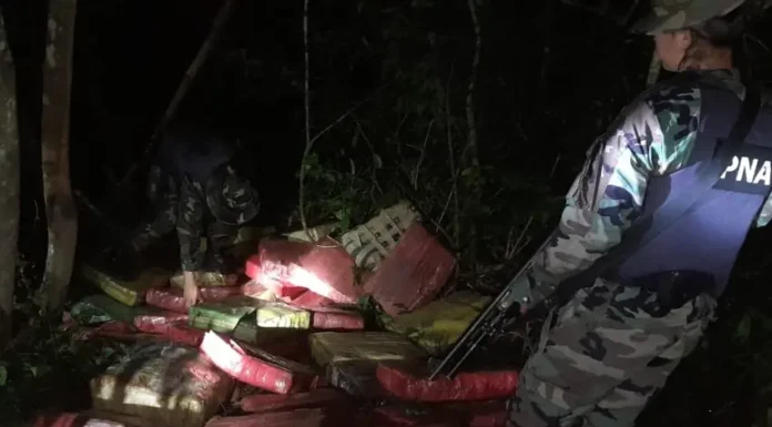 Golpe al narcotráfico: Prefectura secuestró cerca de 1.400 kilos de marihuana en Misiones