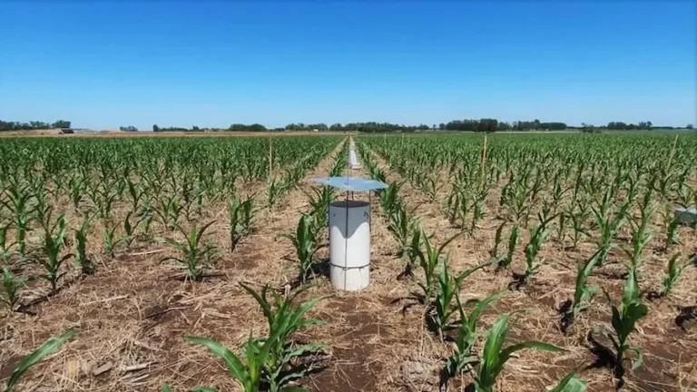 Producir con beneficios para los agroecosistemas y el planeta, al alcance de la mano