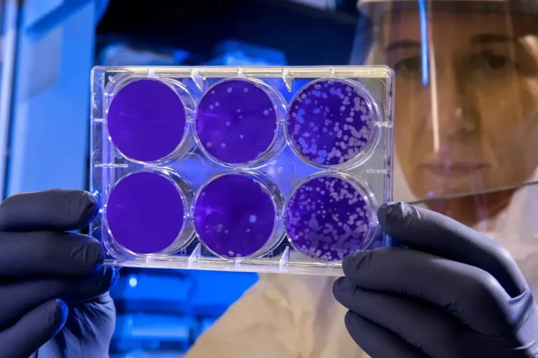 Investigadores de la UBA trabajan en la creación de órganos bioartificales 