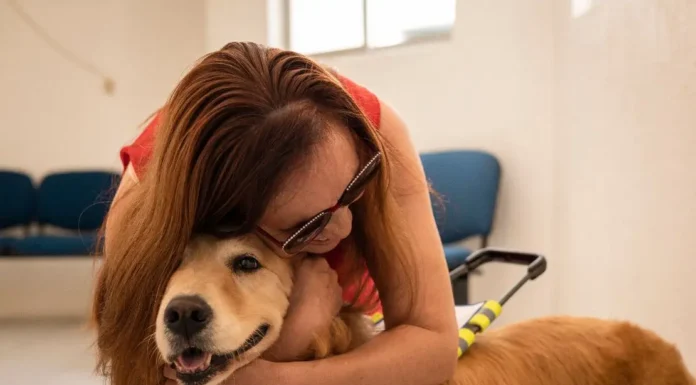 Perro Guía: En mayo se internará Tami para concretar la entrega que Zárate apoya, mientras cierra la última rifa