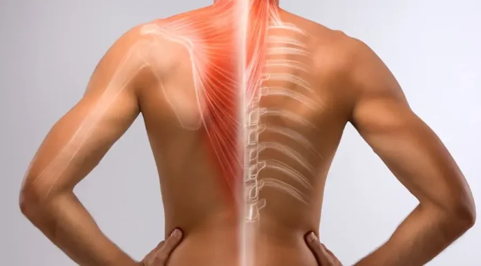 Día Nacional de la Columna Vertebral: Campaña de detección y diagnóstico abierta a la comunidad