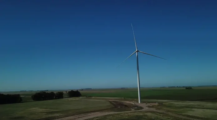 Tenaris completó el montaje del primer aerogenerador en su nuevo Parque Eólico de Gonzales Chaves