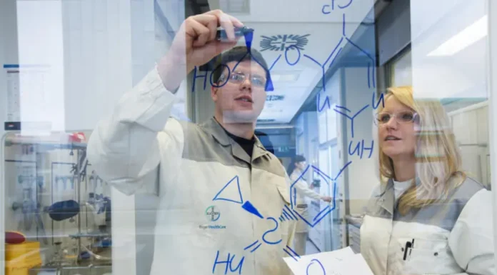 Bayer Oncología: Innovación en el tratamiento del cáncer de próstata.