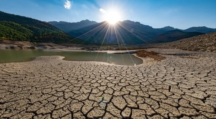 Encuesta SEA-CREA: el impacto del desastre climático para la argentina y el mundo