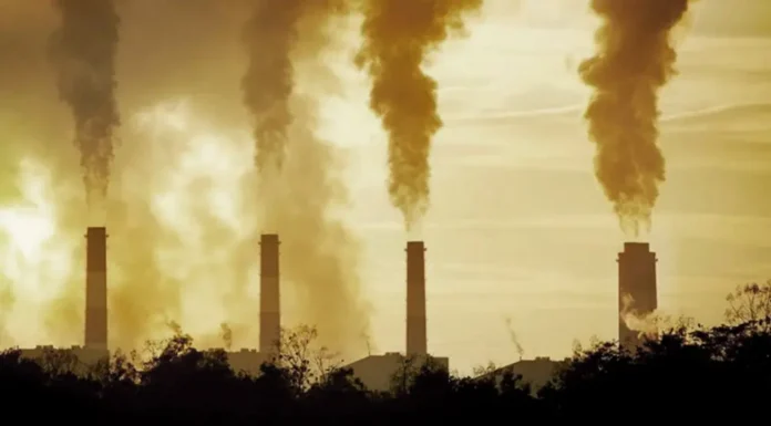 Expertos y activistas reclamaron que la transición energética “no sacrifique territorios”