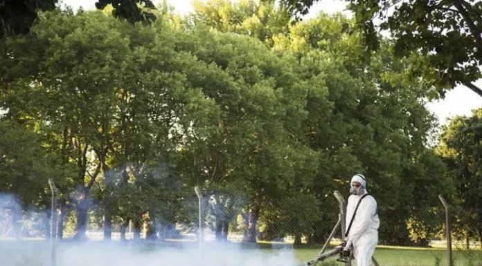 Dengue: la curva de contagios sigue en baja luego del pico de principios de abril